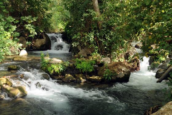 Мотель Magical In The Galilee Кір'ят-Шемона Екстер'єр фото
